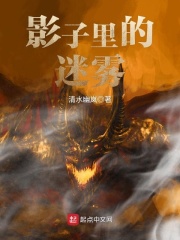 影子里的迷雾在线阅读