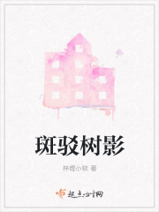 斑驳树影在线阅读