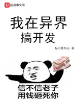 我在异界搞开发在线阅读