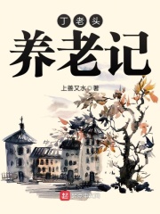 丁老头养老记在线阅读