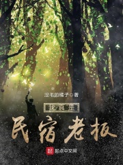 我真是民宿老板在线阅读