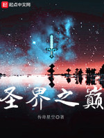 圣界之巅在线阅读