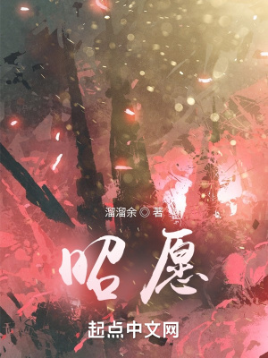 昭愿在线阅读