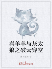 喜羊羊与灰太狼之破云穿空