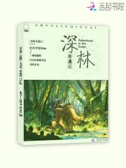深林奇遇记