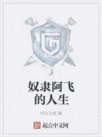奴隶阿飞的人生封面