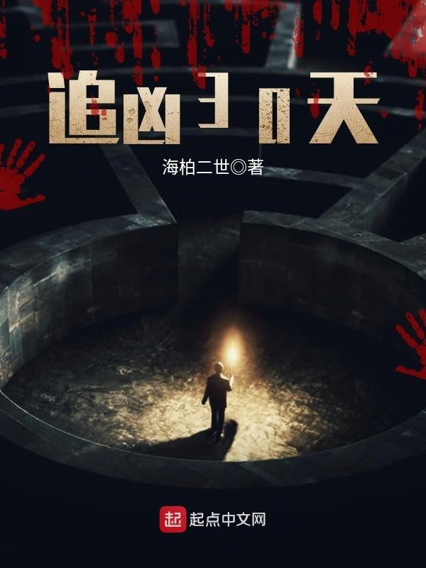 追凶30天在线阅读