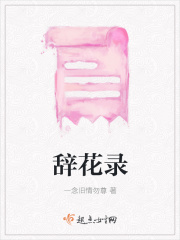 辞花录在线阅读