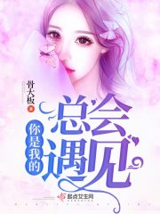 你是我的总会遇见在线阅读