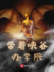 带着峡谷办学院在线阅读