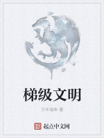 梯级文明最新章节在线阅读