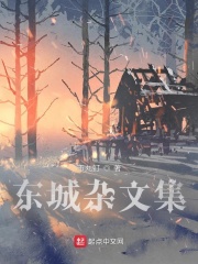 东城杂文集在线阅读