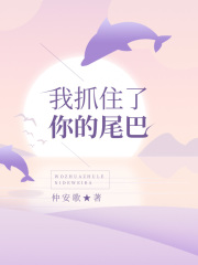 我抓住了你的尾巴在线阅读