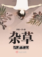 杂草向阳而生在线阅读