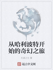从哈利波特开始的奇幻之旅在线阅读