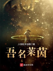 吾名莱茵在线阅读