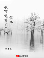 我可能重生了个假的在线阅读