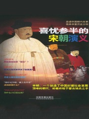 喜忧参半的宋朝演义