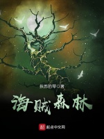 海贼森林在线阅读