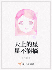 天上的星星不能摘在线阅读