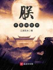 朕不是宋钦宗在线阅读