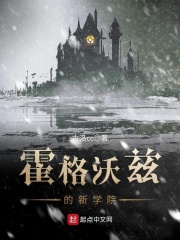 霍格沃兹的新学院在线阅读