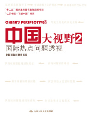 中国大视野2：国际热点问题透视