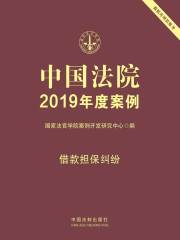 中国法院2019年度案例：借款担保纠纷