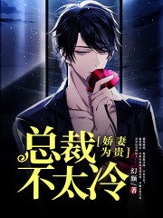 娇妻为贵：总裁不太冷