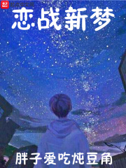 恋战新梦在线阅读
