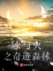冰与火之