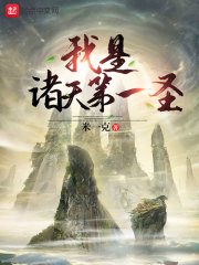 我是诸天第一圣在线阅读