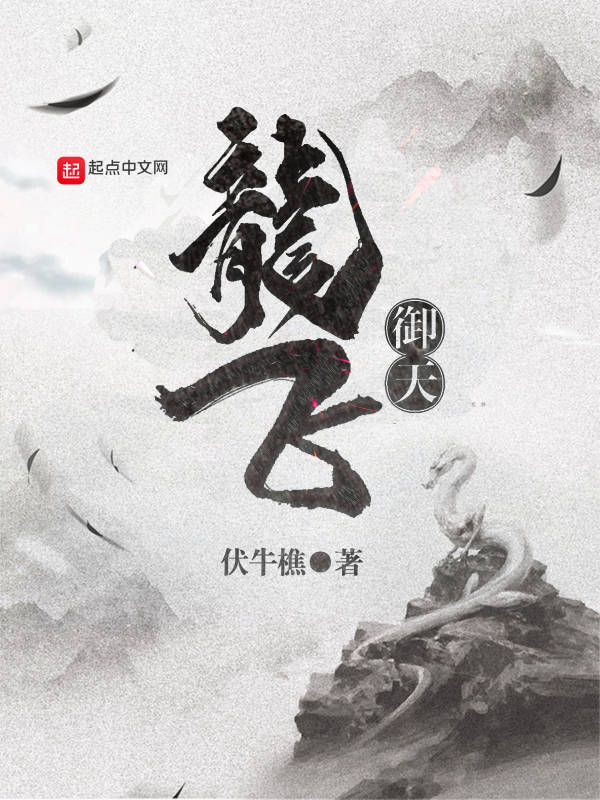 龙飞御天在线阅读