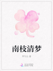 南枝清梦在线阅读