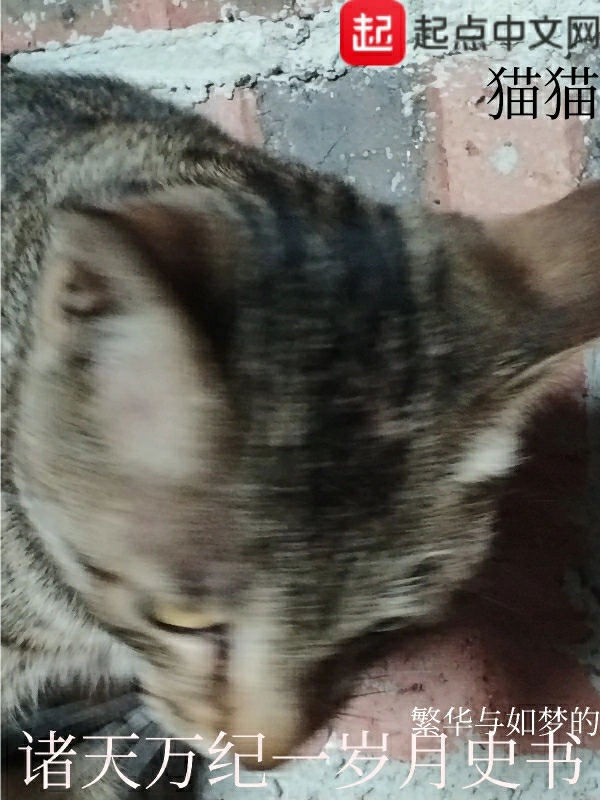 骊天歌