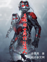 苍蝇骑士前传I改1在线阅读