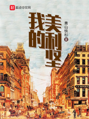 我的美利坚在线阅读