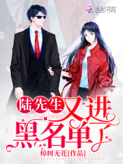 陆先生又进黑名单了在线阅读