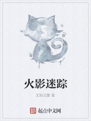 火影迷踪