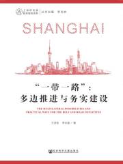 “一带一路”：多边推进与务实建设