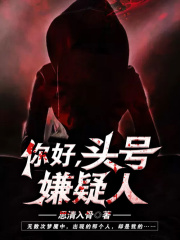 你好，头号嫌疑人