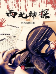 西北神探在线阅读