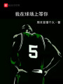 我在球场上等你在线阅读