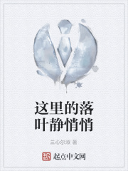 这里的落叶静悄悄在线阅读