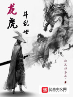 龙虎斗乱世封面