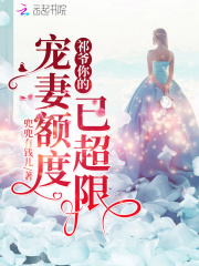 祁少你的宠妻额度已超限在线阅读