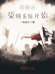 无敌从荣耀系统开始在线阅读