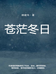 苍茫冬日在线阅读