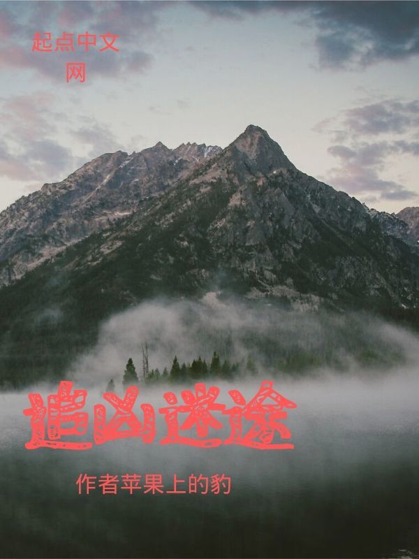 追凶迷途在线阅读