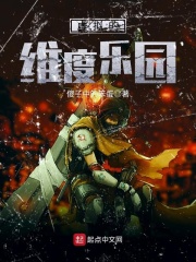 虚拟的维度乐园在线阅读
